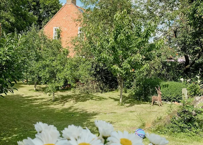 Idyll In East Frisia *